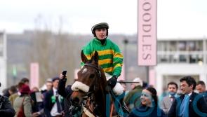 Iroko team working towards Festival target