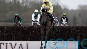 Ryanair or Aintree now the next target for Protektorat