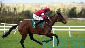 Brighterdaysahead enjoys Sunday stroll at Navan