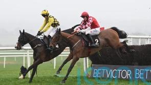 Derham eyeing Cheltenham with expensive new recruits