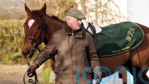 State Man stronger than ever ahead of Champion Hurdle rematch