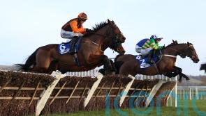 National hero Noble Yeats has Stayers&rsquo; Hurdle in his sights