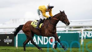 Cheltenham target for Apple Away likely to be clearer after Reynoldstown run