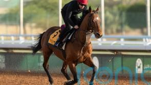 O&rsquo;Brien backing Luxembourg to improve with age