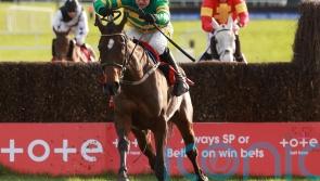 I Am Maximus sees off Vanillier in Bobbyjo