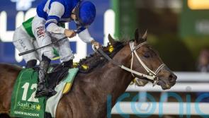 Senor Buscador prevails in exciting Saudi Cup finish