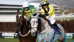 Elixir De Nutz connections to keep faith with Gingell