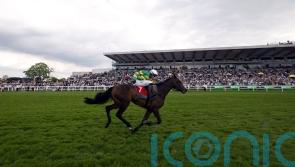 O&rsquo;Neill team backing Crebilly to be a Plate smasher