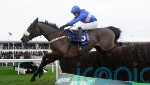 Williams taking watching brief on Festival run for Libberty Hunter