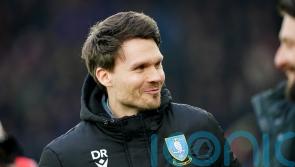 Danny Rohl believes Sheffield Wednesday are up for the fight