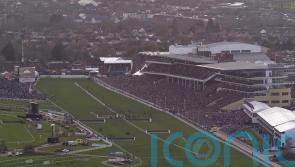 Baring Bingham becomes Gallagher Novices&rsquo; Hurdle