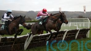 Murphy eyeing Imperial Cup tilt with Go Dante