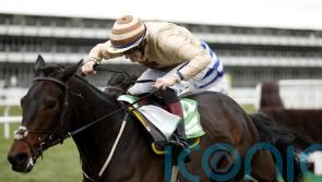 Cheltenham experience could be vital for Broadway Boy&rsquo;s Brown Advisory bid