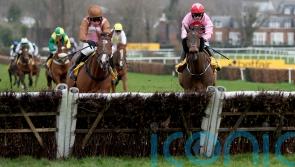 Go Dante grabs Imperial Cup in Sandown thriller