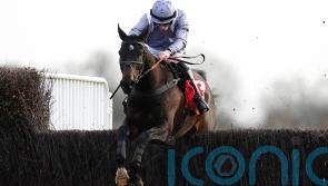 Il Est Francais building up nicely to Auteuil showpiece