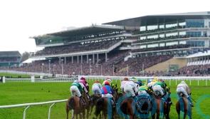 Harrington warns Irish dominance is &lsquo;damaging for the sport&rsquo;