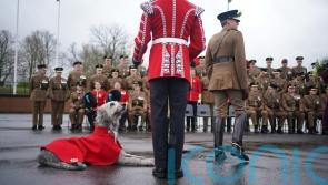 Irish Guards cheer for absent Princess of Wales at St Patrick&rsquo;s Day parade