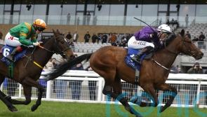 Arizona Blaze makes perfect start to career with win at the Curragh