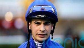 Stefano Cherchi taken to hospital with head injury after Canberra fall