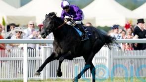Varian plotting Royal Ascot route for King Of Steel