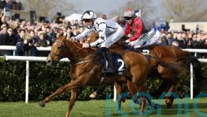 Tutty left Smiling after Spring Mile success