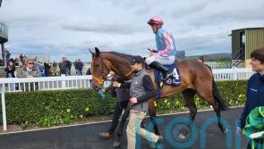 Purple Lily proves significant potential in Naas triumph