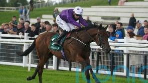 Adrian Murray upbeat over Bucanero Fuerte ahead of possible 2000 Guineas tilt