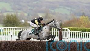 Eldorado Allen primed for Grand National challenge
