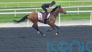 Murphy hoping Coltrane can play leading Meydan role