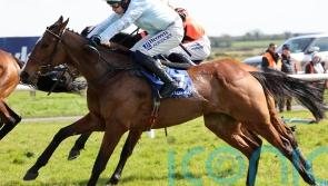 Jade De Grugy carries Honeysuckle colours to appropriate success