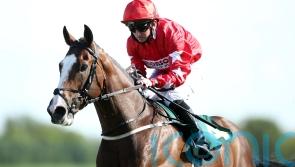 Spirit Dancer set for well-deserved holiday after Dubai run