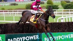 Conflated still top-weight for National after 51 stand their ground