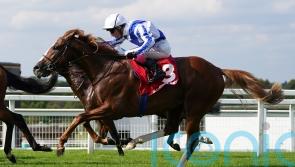 Devil&rsquo;s Point takes Djebel test on seasonal bow