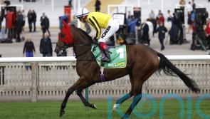 Owen eyeing Newmarket return for Ambiente Amigo