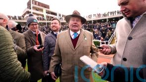 Henderson hoping Sir Gino can put stable&rsquo;s Cheltenham woes to one side