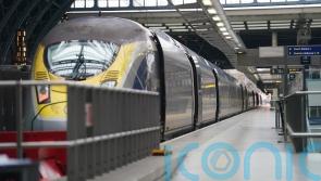 Australian racehorse found loose on train station platform