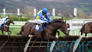 Langer Dan takes top-level test at Aintree