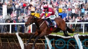 Chasing could be an option next year for Brighterdaysahead