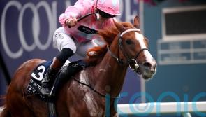 &lsquo;Loftier targets and less racing&rsquo; the plan for Live In The Dream