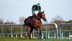McConnell star Seddon set for return at Punchestown Festival