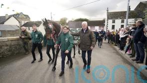 Maximus respect for Grand National hero at homecoming parade