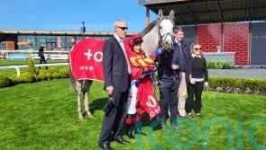 White Birch enjoys &lsquo;lovely&rsquo; comeback win at the Curragh