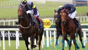 O&rsquo;Brien Epsom raider has Rock-solid form credentials
