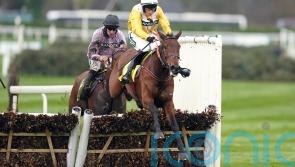 Apple Away takes on strong Irish challenge at Perth