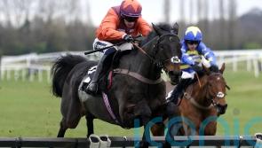 Fry confident Gidleigh Park will shine over fences