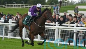 Bucanero Fuerte set to skip Guineas with Ascot sprint preferred