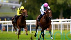 &lsquo;Talented&rsquo; Nostrum makes Mile return at Sandown