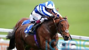 Next stop the Derby for Trial winner Bellum Justum