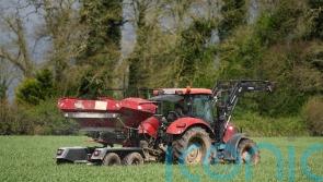 Wheat, barley and oat production declined by a fifth in 2023 &ndash; CSO