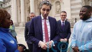 Simon Harris condemns &lsquo;reprehensible behaviour&rsquo; at Co Wicklow asylum protest